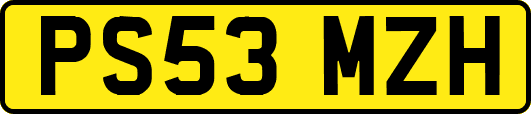 PS53MZH