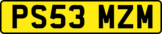 PS53MZM