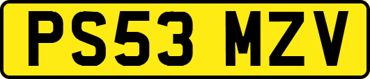 PS53MZV