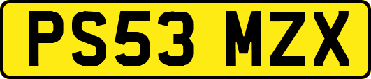 PS53MZX