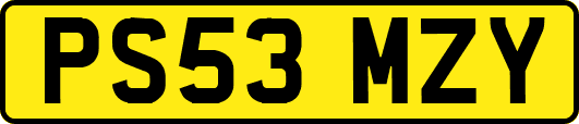 PS53MZY