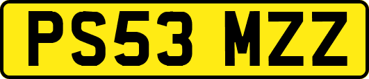 PS53MZZ