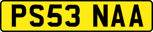 PS53NAA