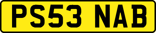 PS53NAB