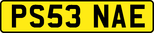 PS53NAE