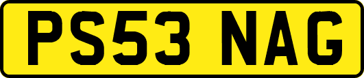 PS53NAG