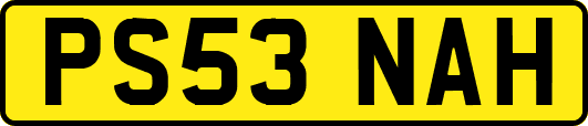 PS53NAH