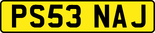 PS53NAJ