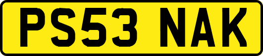 PS53NAK