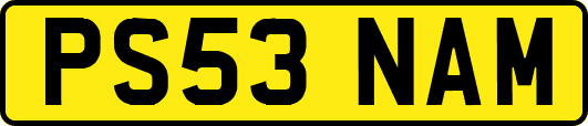 PS53NAM