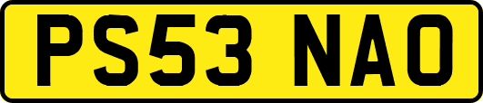 PS53NAO