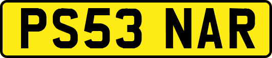 PS53NAR