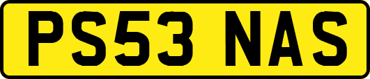 PS53NAS