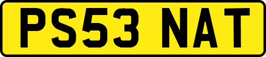PS53NAT