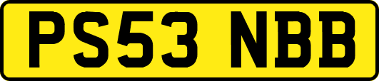 PS53NBB