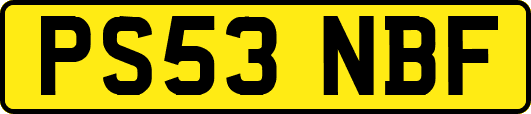 PS53NBF