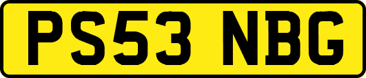 PS53NBG