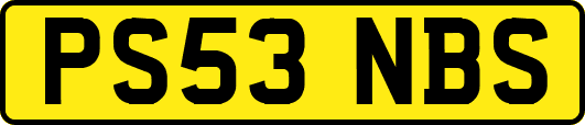 PS53NBS