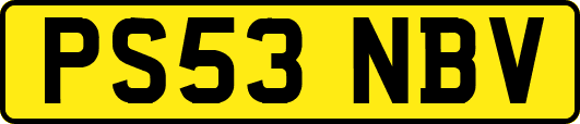 PS53NBV