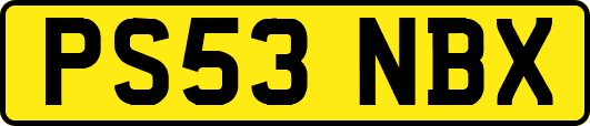 PS53NBX