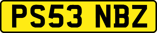 PS53NBZ