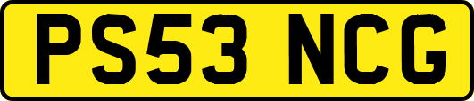 PS53NCG