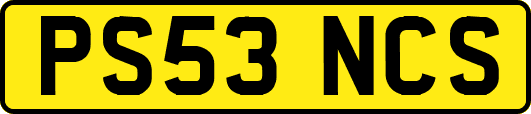 PS53NCS