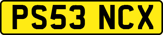 PS53NCX
