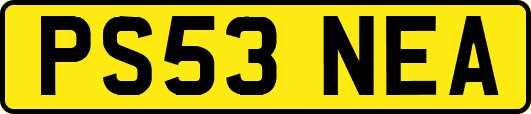 PS53NEA
