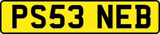 PS53NEB