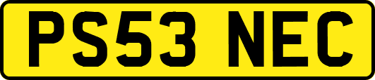 PS53NEC