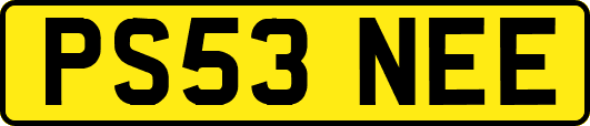 PS53NEE