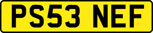 PS53NEF