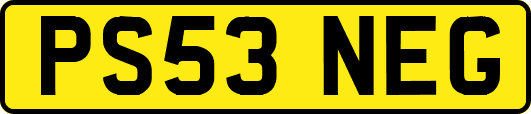 PS53NEG