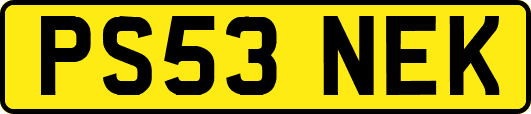PS53NEK