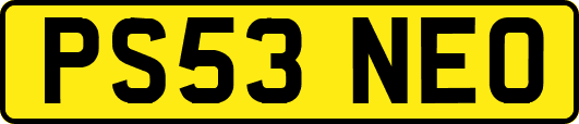 PS53NEO
