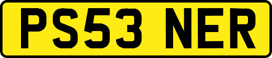 PS53NER