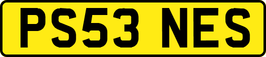 PS53NES