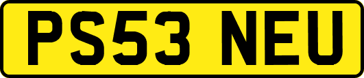 PS53NEU