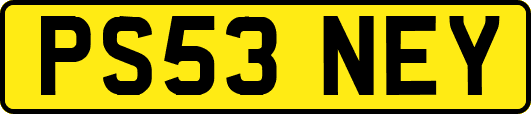 PS53NEY