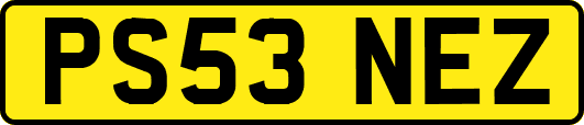 PS53NEZ