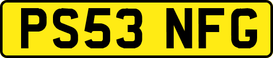 PS53NFG