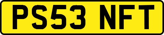 PS53NFT