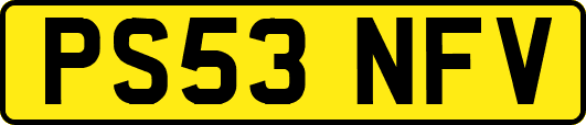 PS53NFV