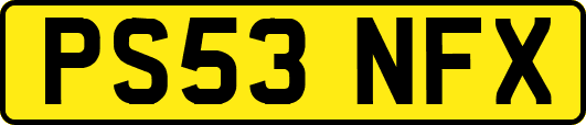 PS53NFX