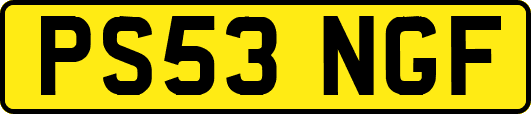 PS53NGF