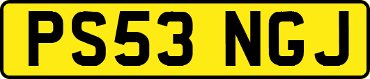 PS53NGJ