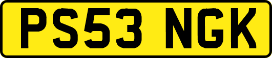 PS53NGK