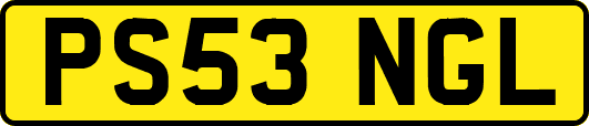 PS53NGL