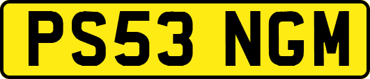 PS53NGM